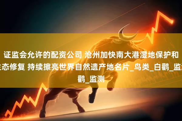 证监会允许的配资公司 沧州加快南大港湿地保护和生态修复 持续擦亮世界自然遗产地名片_鸟类_白鹳_监测