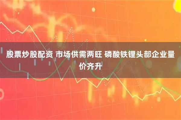 股票炒股配资 市场供需两旺 磷酸铁锂头部企业量价齐升